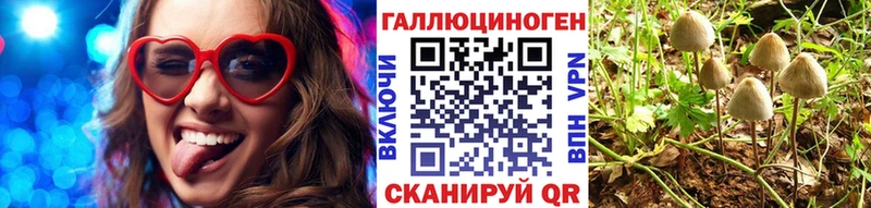 Псилоцибиновые грибы Cubensis  Качканар 